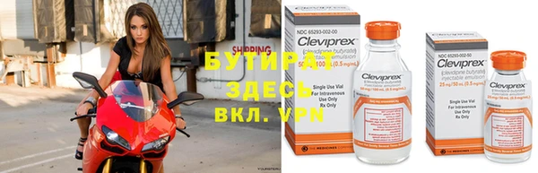 прущие грибы Алексин